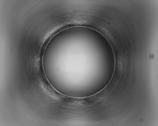 X0000114110488200910051517
