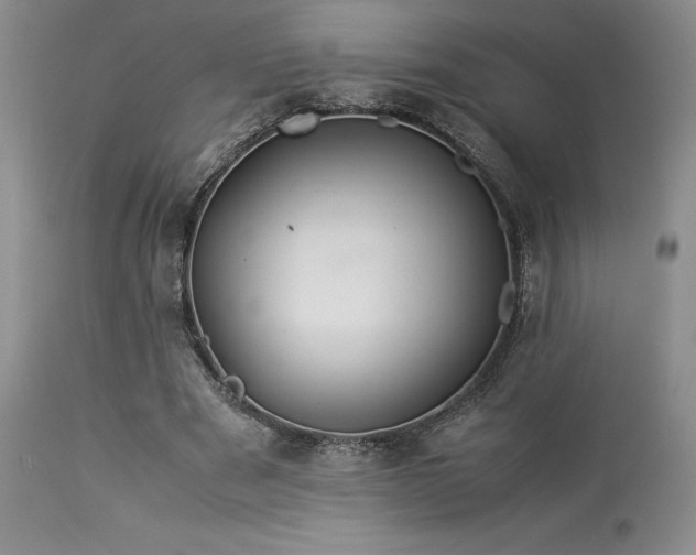 X0000114110489200910051517