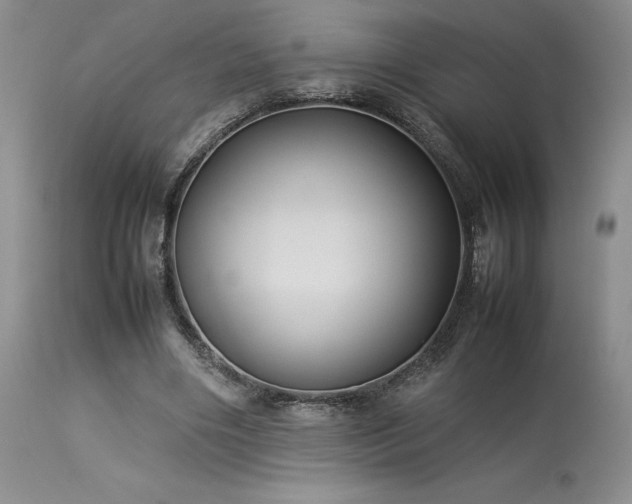 X0000114110490200910051517