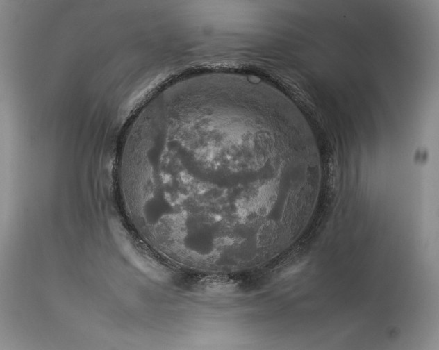 X0000114110491200910051517