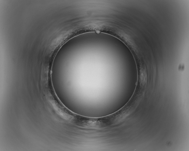X0000114110493200910051517