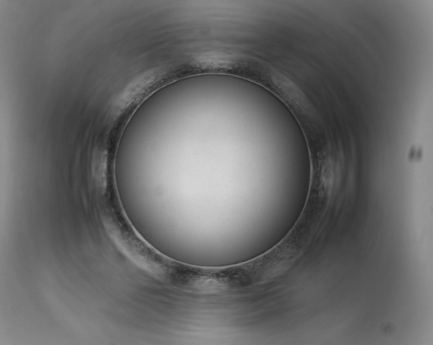 X0000114110494200910051517
