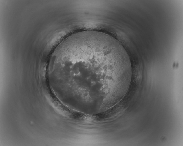 X0000114110495200910051517