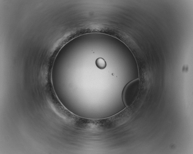 X0000114110496200910051517