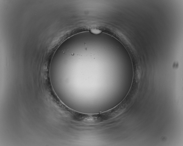 X0000114110497200910051517