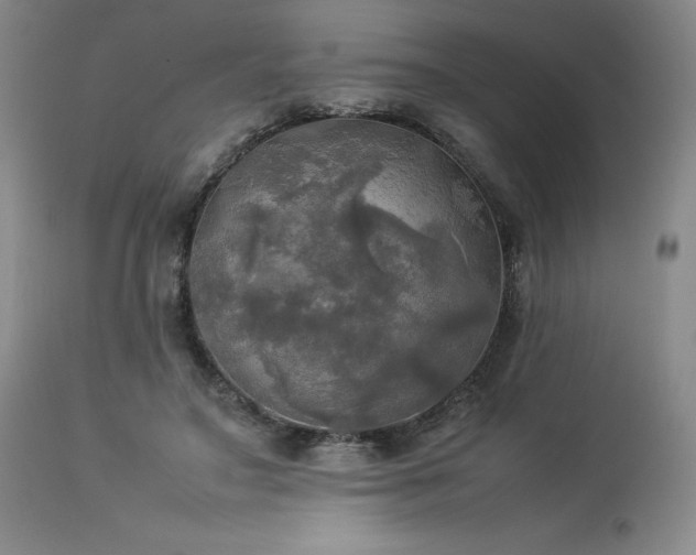 X0000114110499200910051517