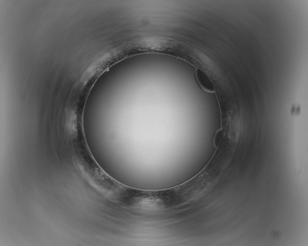 X0000114110500200910051517