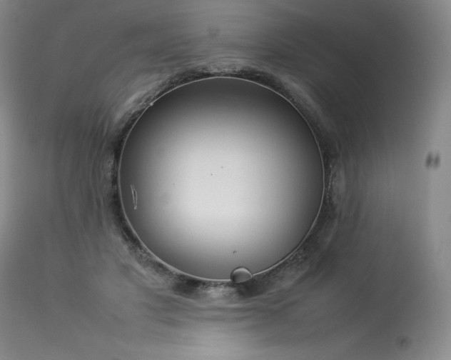 X0000114110501200910051517