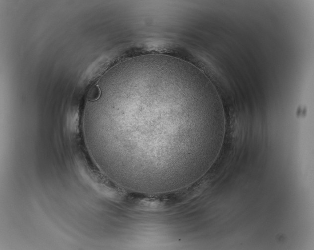 X0000114110502200910051517