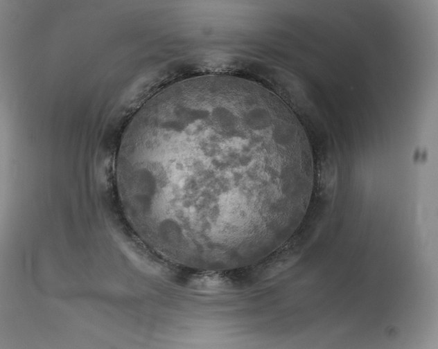 X0000114110503200910051517