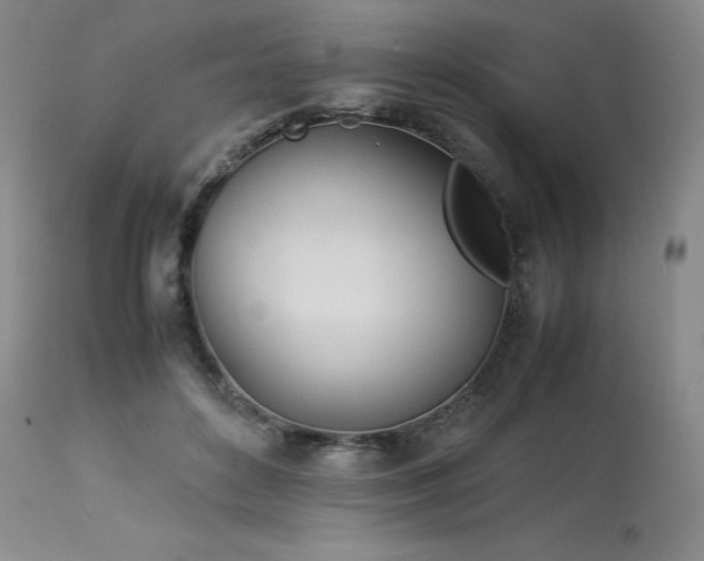 X0000114110504200910051516
