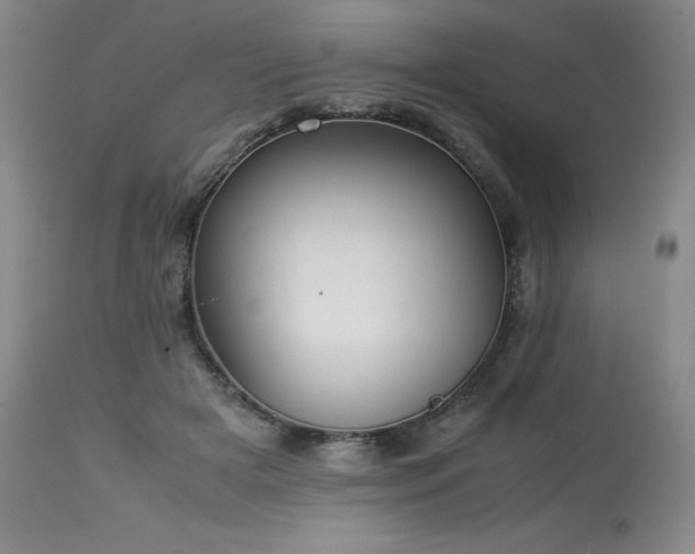 X0000114110505200910051516