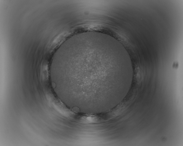 X0000114110506200910051516