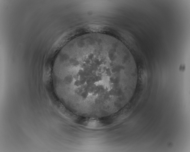 X0000114110507200910051516
