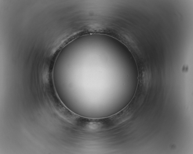 X0000114110508200910051516