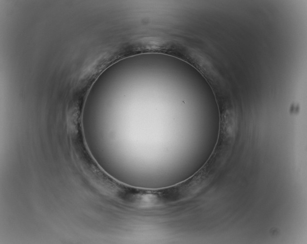 X0000114110509200910051516