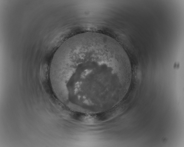 X0000114110511200910051516