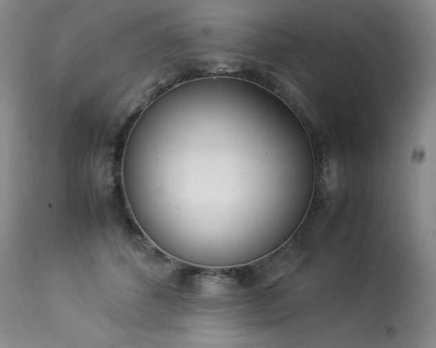 X0000114110512200910051516