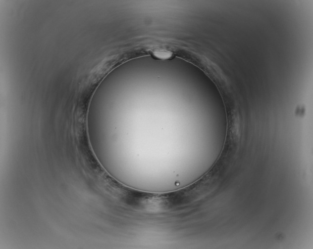 X0000114110513200910051516
