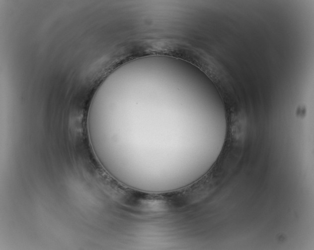 X0000114110514200910051516