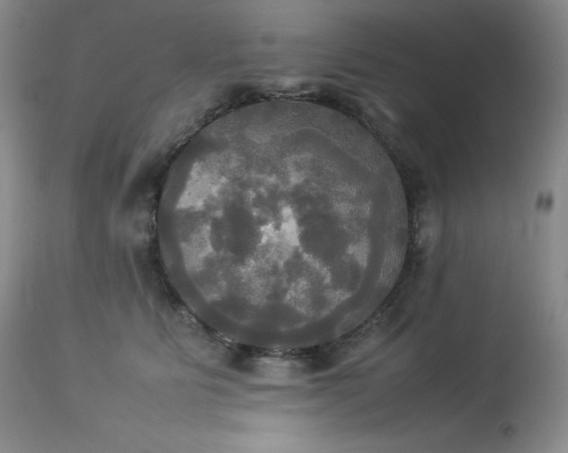 X0000114110515200910051516