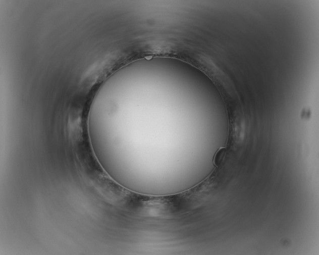 X0000114110516200910051516
