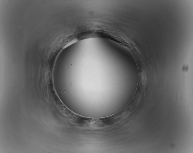 X0000114110517200910051516