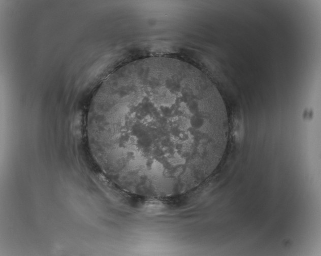 X0000114110519200910051516
