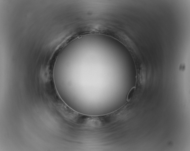 X0000114110520200910051516