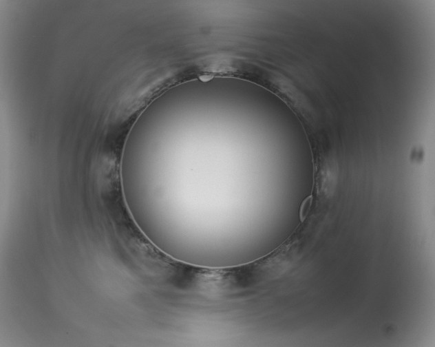 X0000114110521200910051516