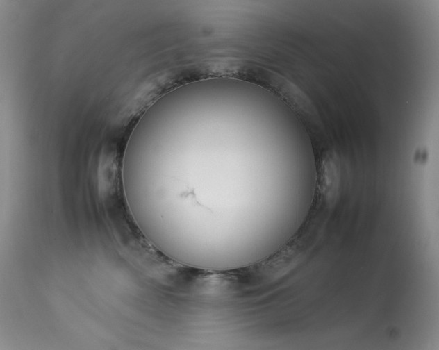 X0000114110522200910051516