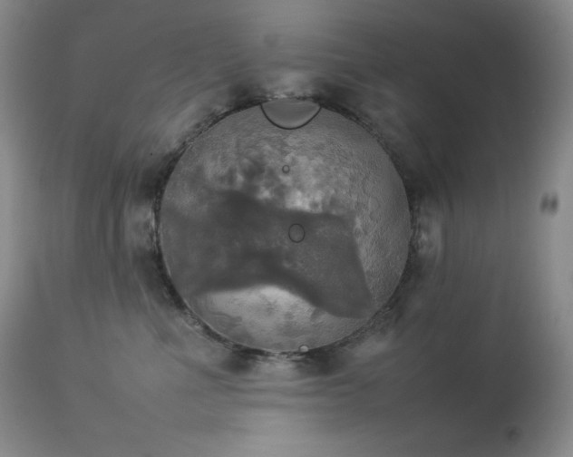 X0000114110523200910051516