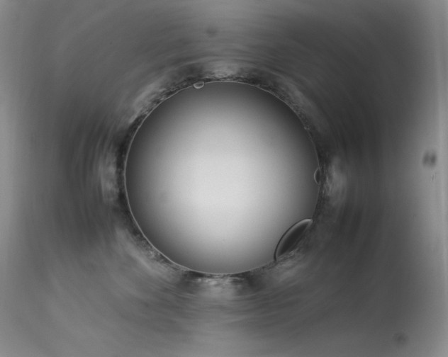 X0000114110524200910051516