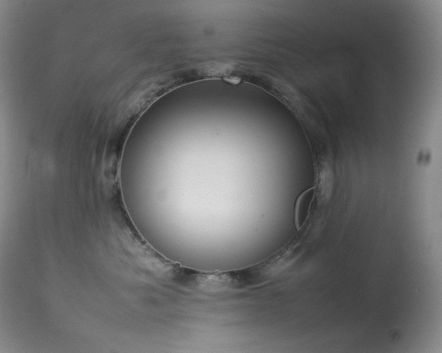 X0000114110525200910051516