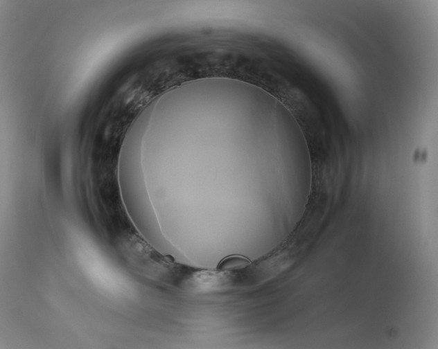 X0000114110526200910051516