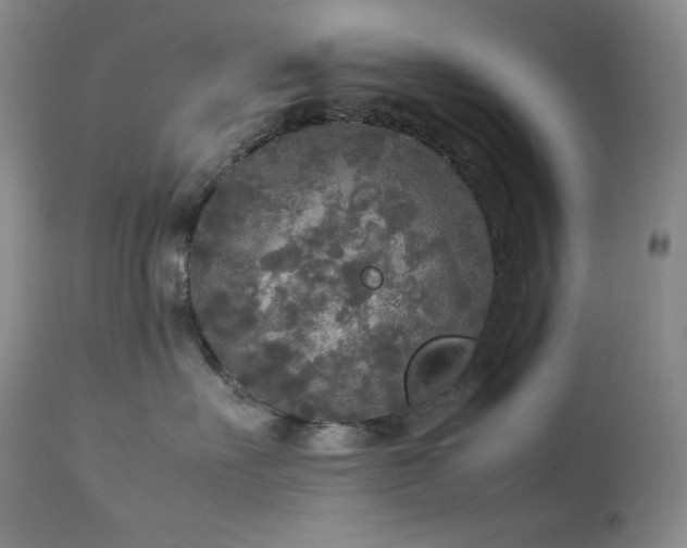 X0000114110527200910051516