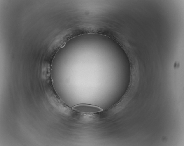 X0000114110528200910051516