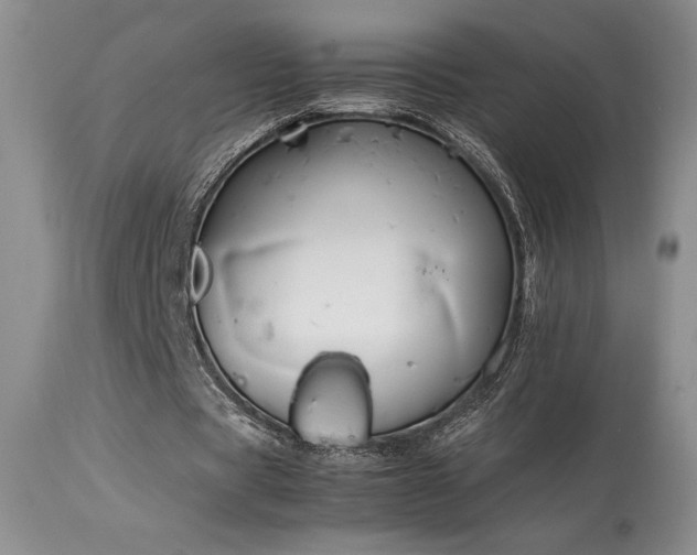 X0000114110529200910051515