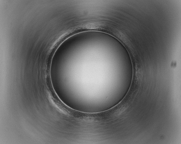 X0000114110530200910051515