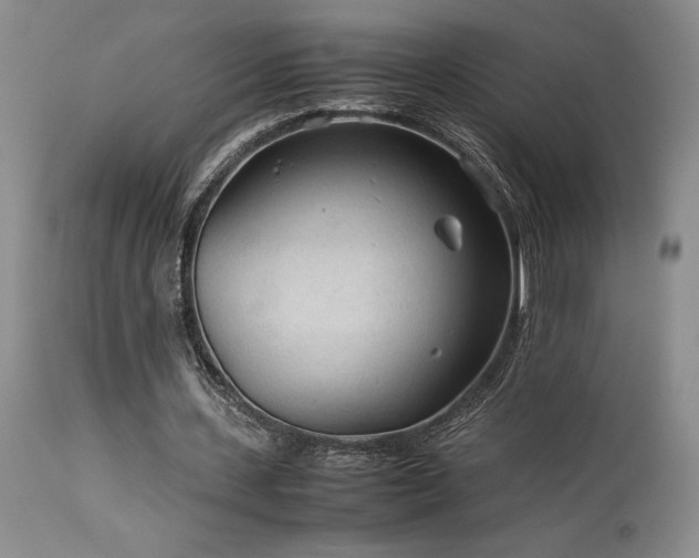 X0000114110531200910051515