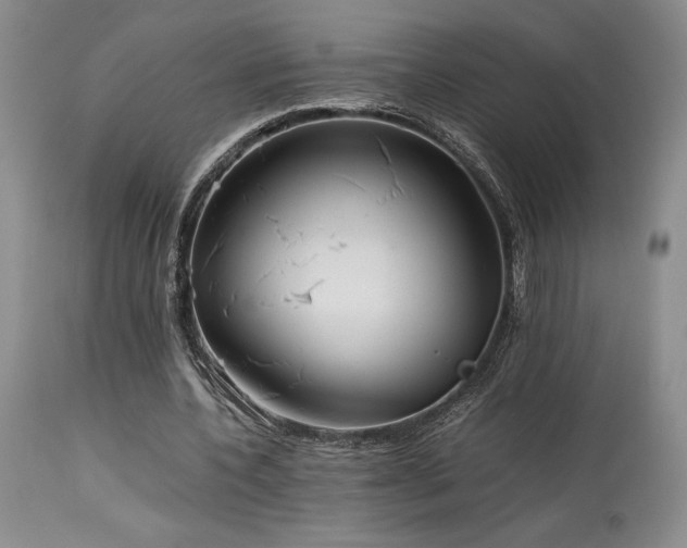 X0000114110532200910051515