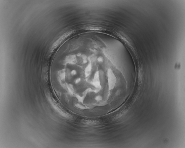 X0000114110533200910051515