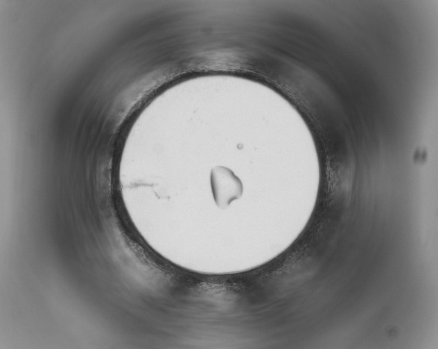 X0000114110534200910051515