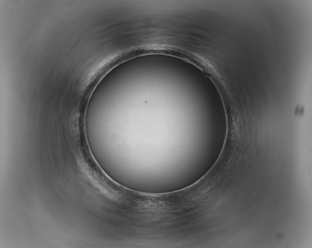 X0000114110535200910051515