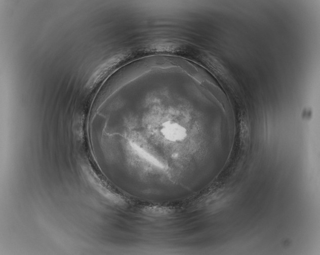 X0000114110537200910051515