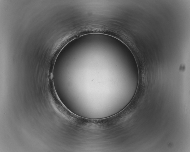 X0000114110538200910051515