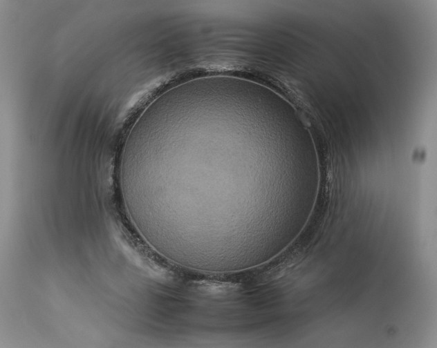 X0000114110539200910051515