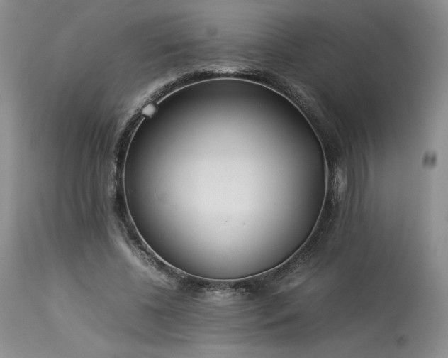 X0000114110540200910051515