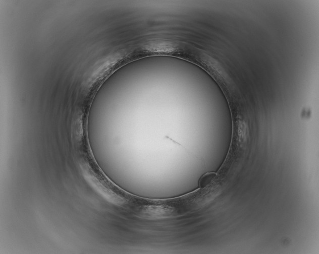 X0000114110541200910051515