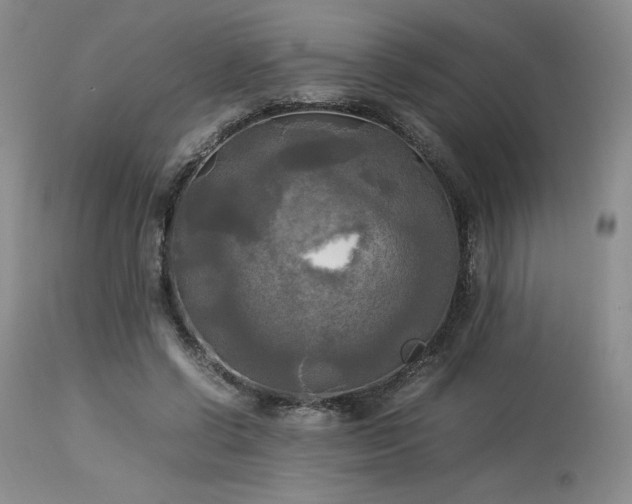 X0000114110542200910051515